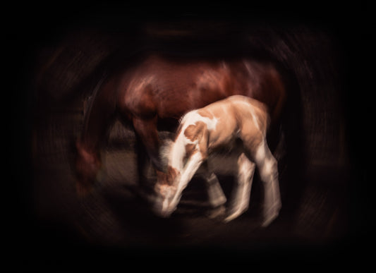 Mother's Orbit Photographic Print