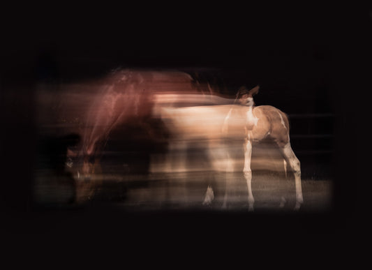 Invisible Ties Photographic Print
