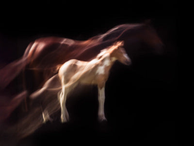 Mare and foal